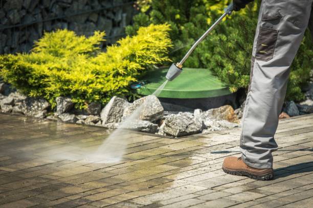 Best Animal Enclosure Cleaning  in Flemington, PA